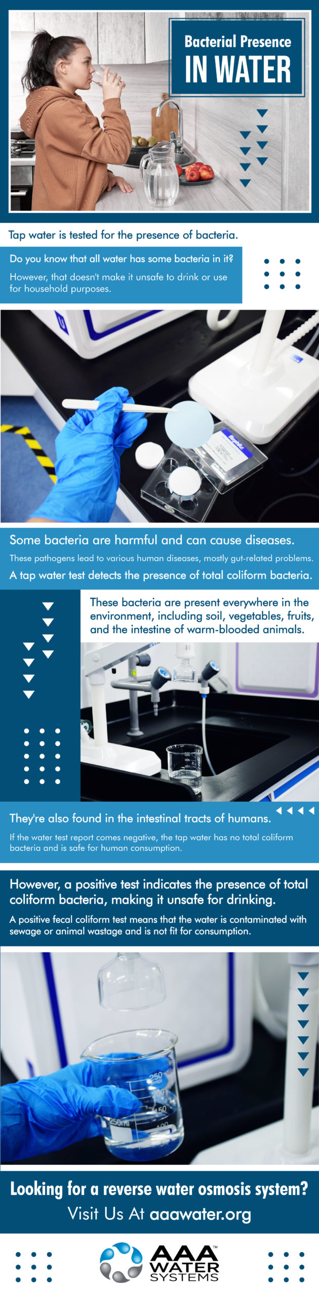 Bacterial Presence in Water - Infograph